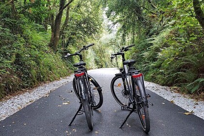 Self Guided Bike Tour on theTralee to Fenit Greenway