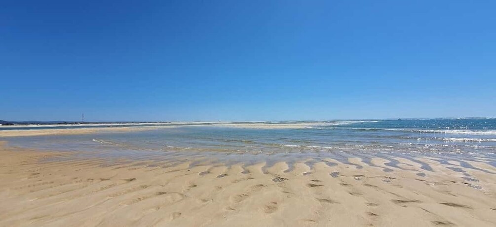 Picture 2 for Activity Olhão:5h ride 3 stops on the beaches and islands Ria Formosa