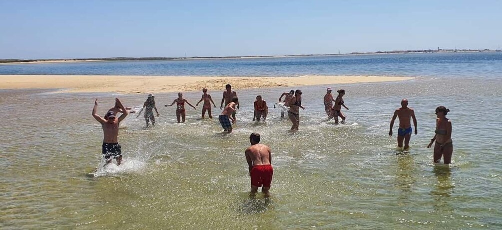 Picture 5 for Activity Olhão:5h ride 3 stops on the beaches and islands Ria Formosa