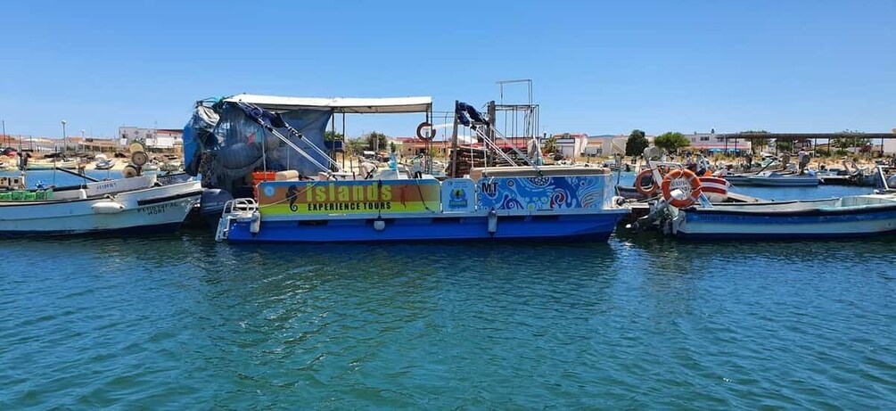 Picture 3 for Activity Olhão:5h ride 3 stops on the beaches and islands Ria Formosa