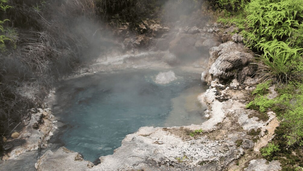 Picture 2 for Activity Taupo: Orakei Korako Geothermal Park and Cave Entry Ticket