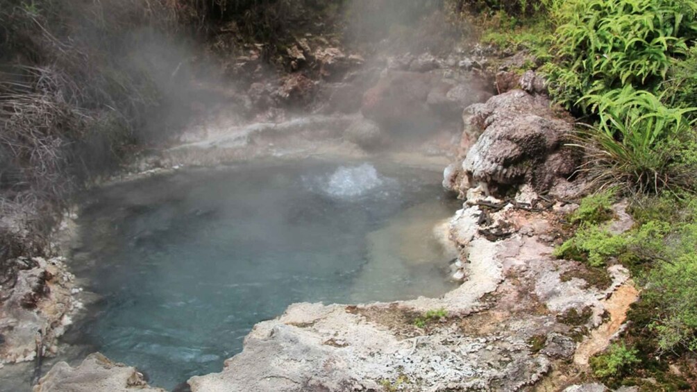 Picture 2 for Activity Taupo: Orakei Korako Geothermal Park and Cave Entry Ticket