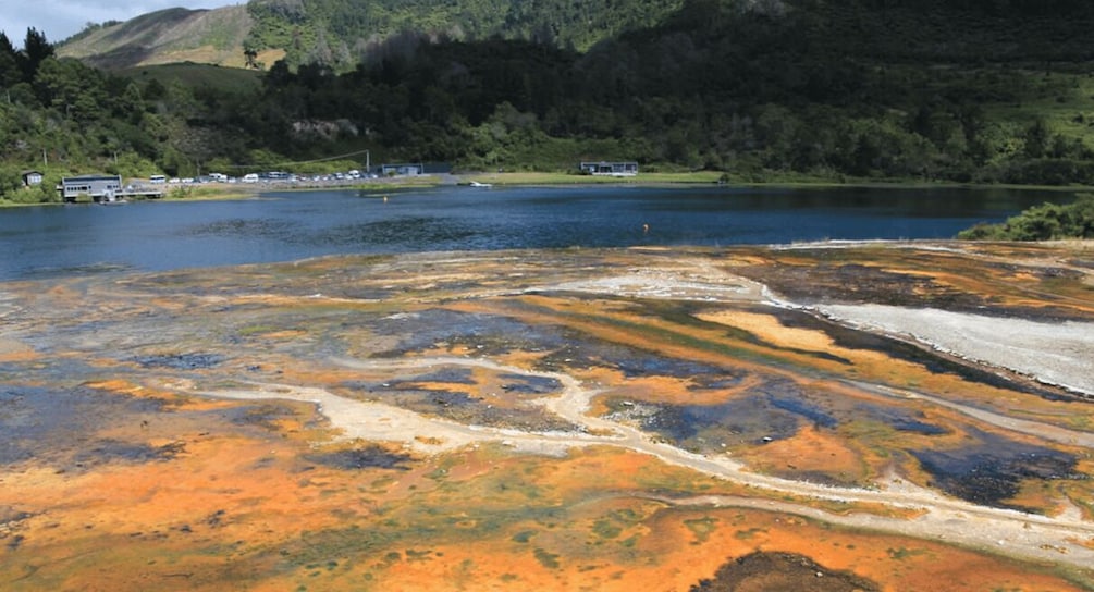 Picture 10 for Activity Taupo: Orakei Korako Geothermal Park and Cave Entry Ticket