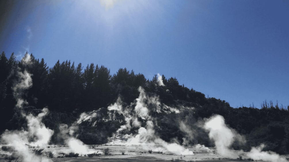 Picture 8 for Activity Taupo: Orakei Korako Geothermal Park and Cave Entry Ticket