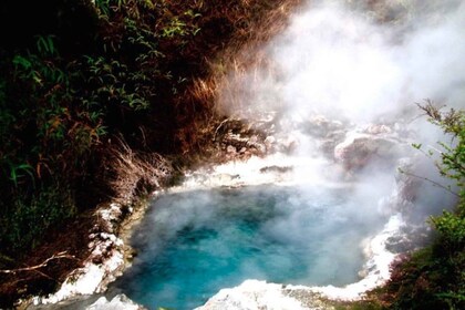 Taupo: Orakei Korako Geothermal Park und Höhle Eintrittskarte