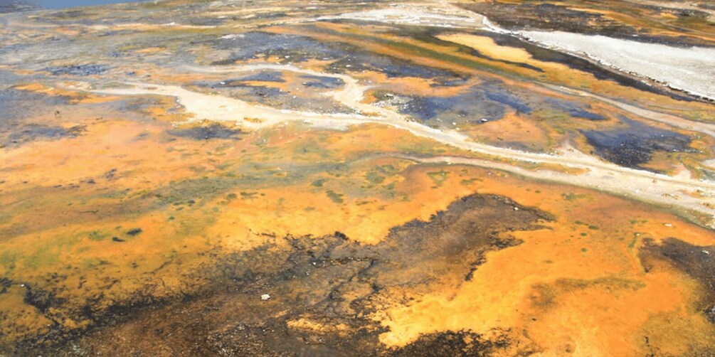 Picture 3 for Activity Taupo: Orakei Korako Geothermal Park and Cave Entry Ticket