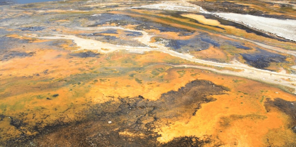 Picture 3 for Activity Taupo: Orakei Korako Geothermal Park and Cave Entry Ticket
