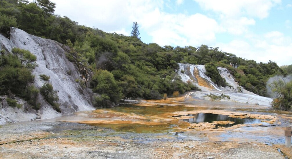 Picture 1 for Activity Taupo: Orakei Korako Geothermal Park and Cave Entry Ticket