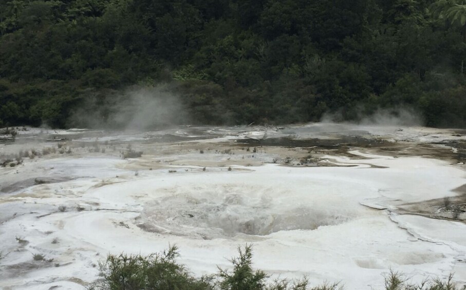 Picture 9 for Activity Taupo: Orakei Korako Geothermal Park and Cave Entry Ticket