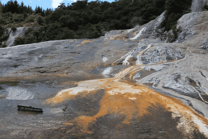 Picture 13 for Activity Taupo: Orakei Korako Geothermal Park and Cave Entry Ticket