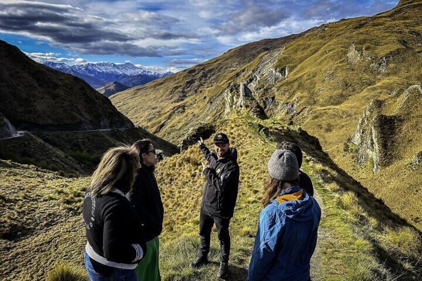 Lord of the Rings Half Day Tour in New Zealand