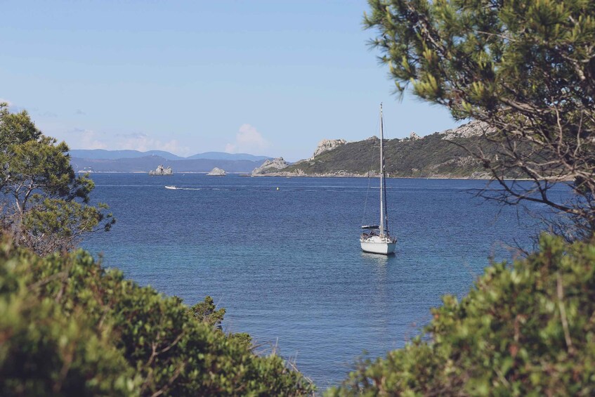 Picture 6 for Activity SEAYOU ESCAPE Porquerolles: Excursions+ Repas Paradise