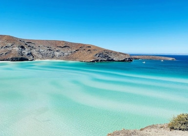 Tur pribadi ke La Paz, Balandra dan Todos Santos dari CABO