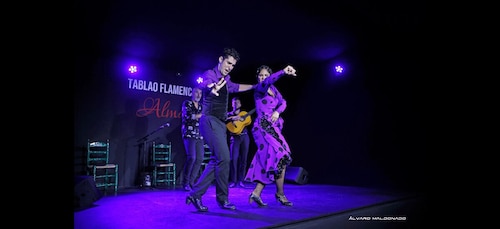 Palma: Flamenco Show at Tablao Flamenco Alma with Drink
