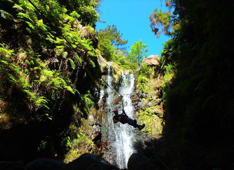 Picture 1 for Activity Madeira: Level-1 Canyoning Adventure