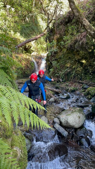 Picture 3 for Activity Madeira: Level-1 Canyoning Adventure