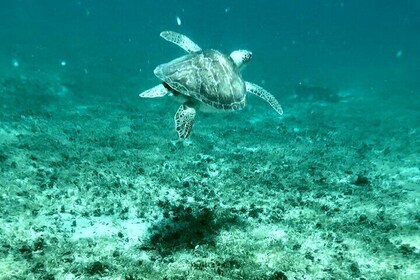 Private Guided Tour in Baja Todos Santos by Jeep