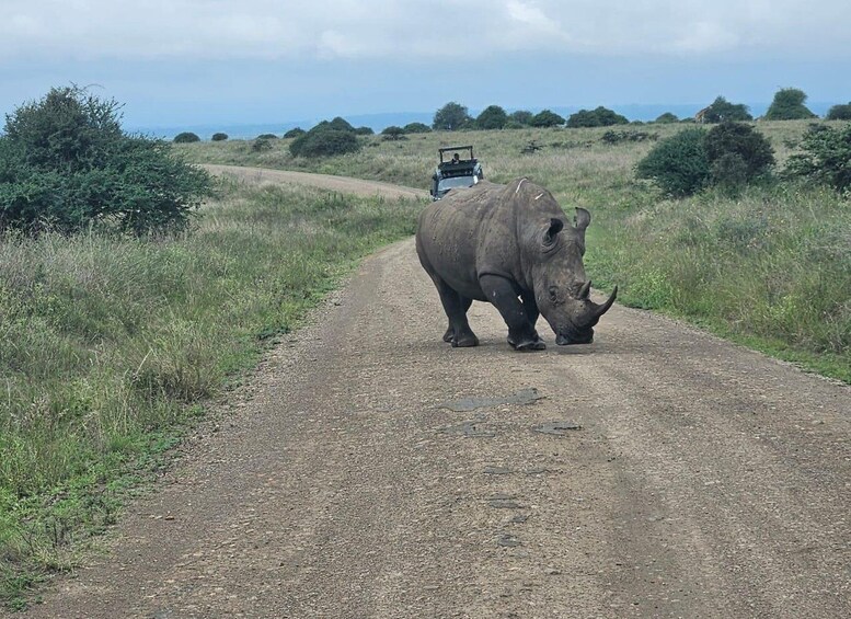 Picture 24 for Activity Nairobi 4 Hours National Park Half-Day Game Drive Safari