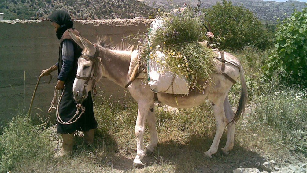 Picture 2 for Activity Rethymno Land Rover Safari in Southwest Crete