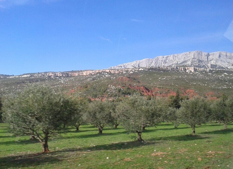 Picture 1 for Activity From Aix-en-Provence: Wine Tour in Cezanne Countryside