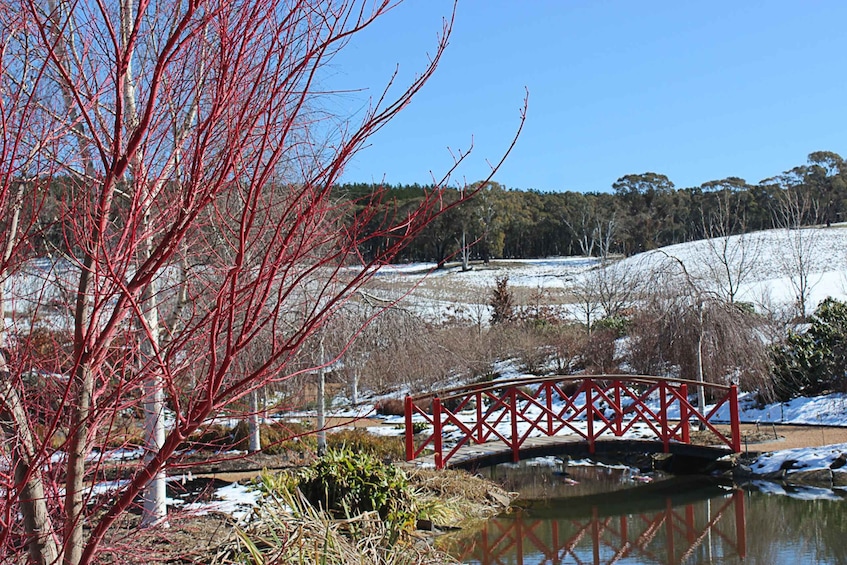 Picture 6 for Activity Oberon: Mayfield Garden, seasonal garden, open year-round