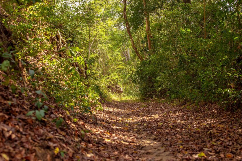 Picture 2 for Activity Cartagena: Guided Hiking Tour