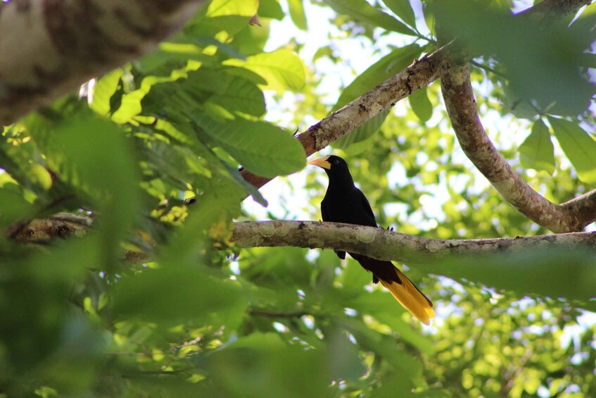 Picture 4 for Activity Cartagena: Guided Hiking Tour