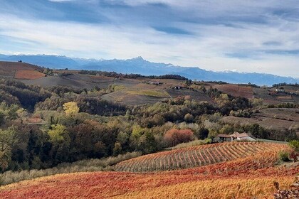 Wine and Typical Product Tasting Tour