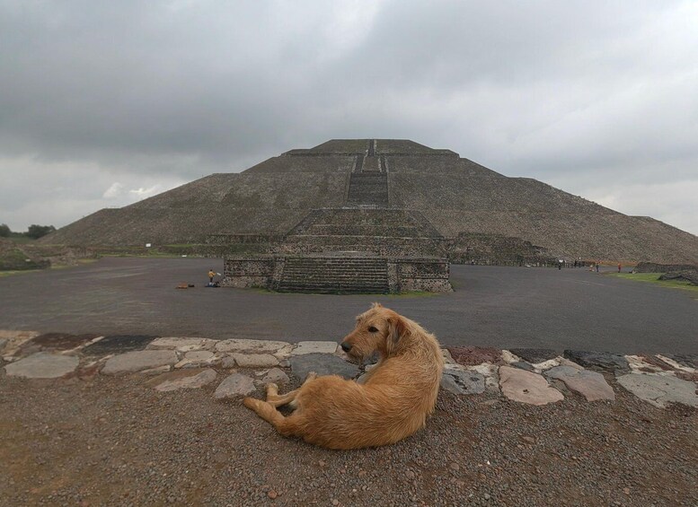 An Adventure To the Great Pyramids of Teotihuacan