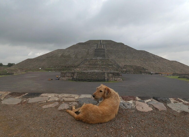 Picture 4 for Activity Teotihuacan Easy Trip Experience with entrances included