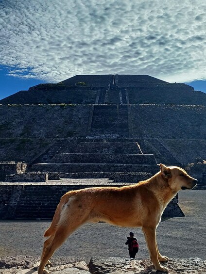 Picture 9 for Activity An Adventure To the Great Pyramids of Teotihuacan