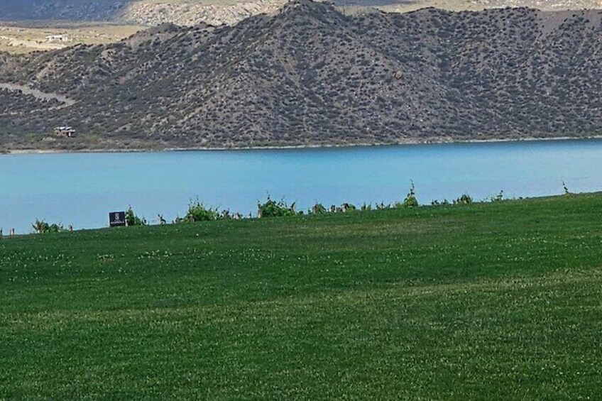 Potrerillos Dam