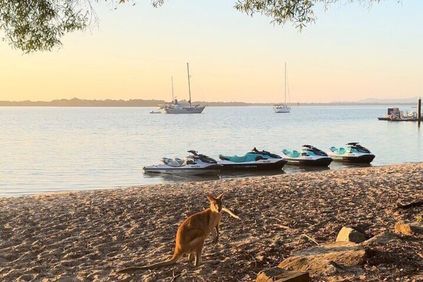 4 Hour Jetski Adventure to the Top of South Stradbroke Island