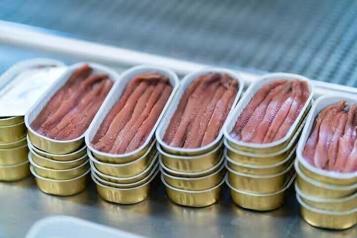 Visit and tasting in the factory of the Best Anchovies Santoña 