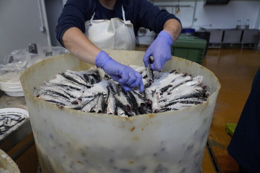 Visit and tasting at the Anchovy factory in Santoña