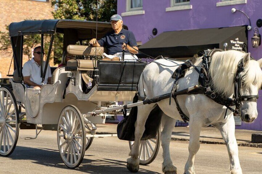 Private Historic Carriage Tour Charleston - Palmetto Carriage