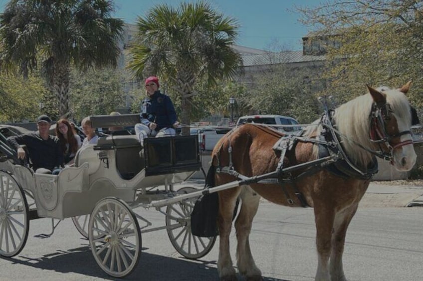 Private Evening Haunted History Carriage Tour in Charleston