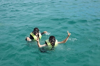 Excursión de día completo a la isla del parque Aquatopia en teleférico de P...