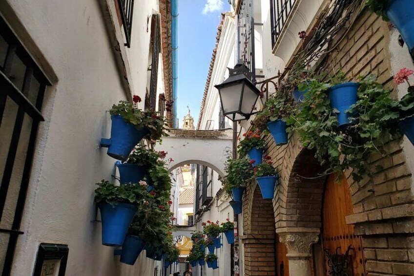 Half Day Guided Walking Tour to Explore Alicante City