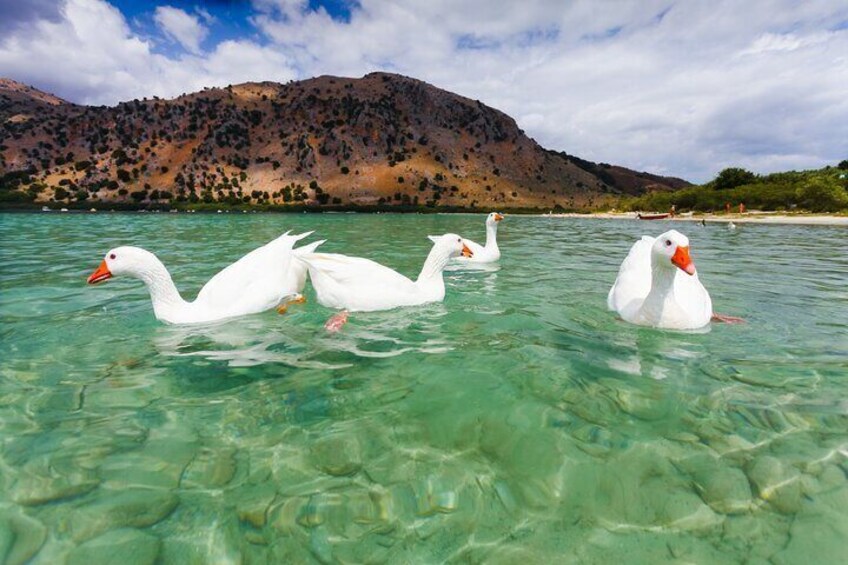 Full Day Private Chania Sights and Lake Kournas Tour