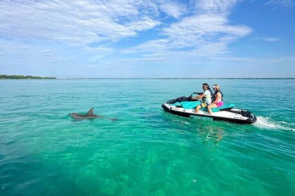 Guided Jet Ski Dolphin Tour - Destin, Florida