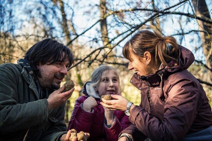 Castelfiorentino Truffle Hunting and Tasting Experience