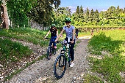 E-Bike Tour with wine tasting from Polpenazze on Lake Garda