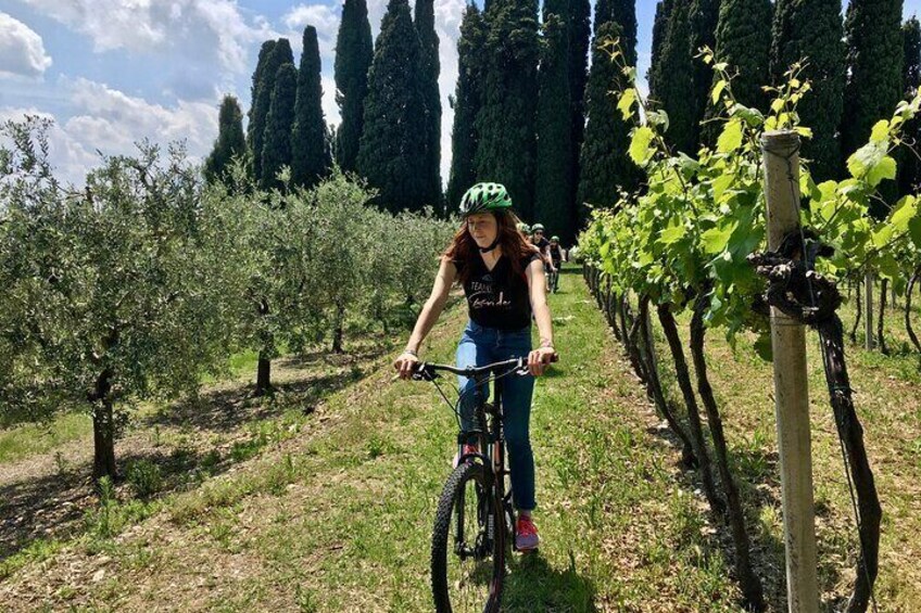 E-Bike Tour with wine tasting from Polpenazze on Lake Garda