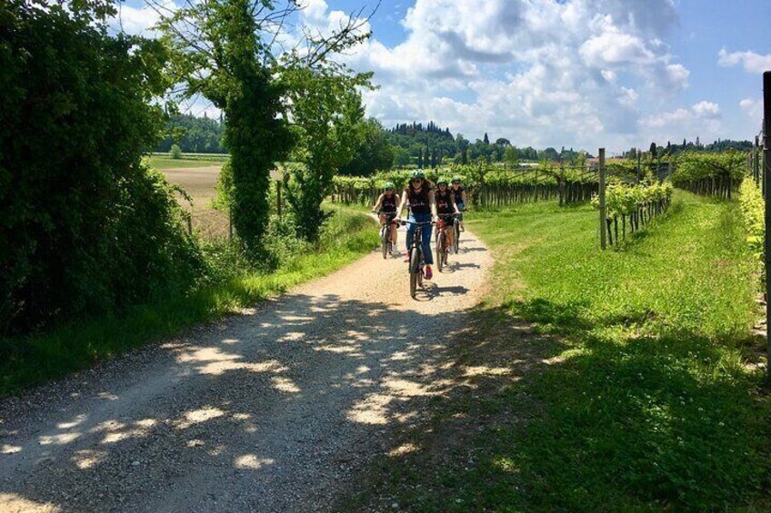 E-Bike Tour with wine tasting from Polpenazze on Lake Garda