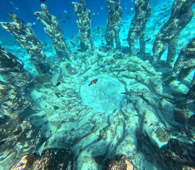 Gili Hai Cruise