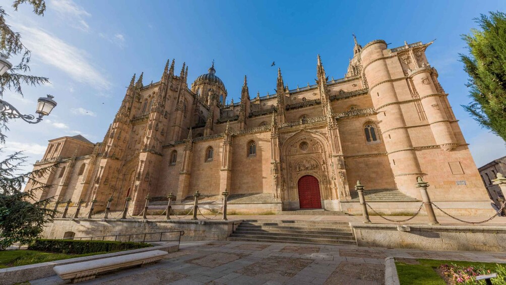 Picture 6 for Activity Salamanca: Cathedral of Salamanca Ticket with Audio Guide