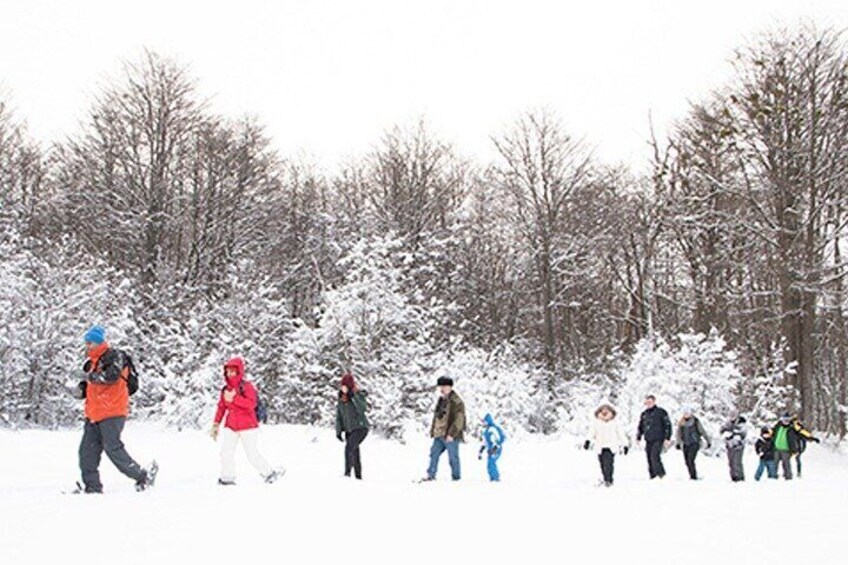 Snow day on snowmobiles, snowshoe hike and culipatín