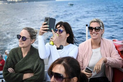 Desde Sorrento: Excursión de un día a Capri con la Gruta Azul