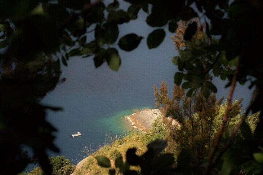 View on Punta Chiappa from Portofino Park